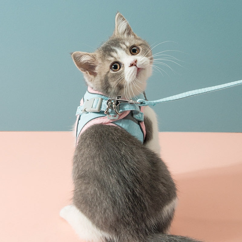 No-Pull Cat Harness