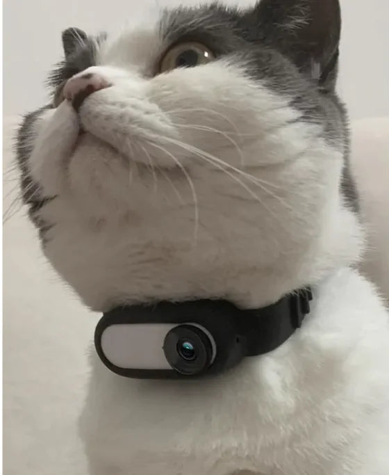 Wireless Pet Collar Camera