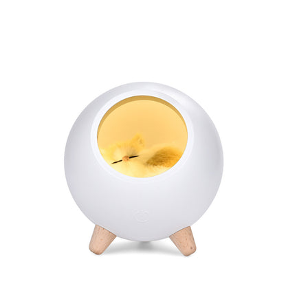 Cute Cat House Lamp (No Bluetooth)