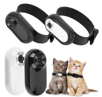 Wireless Pet Collar Camera