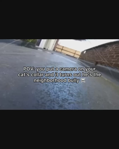 Wireless Pet Collar Camera