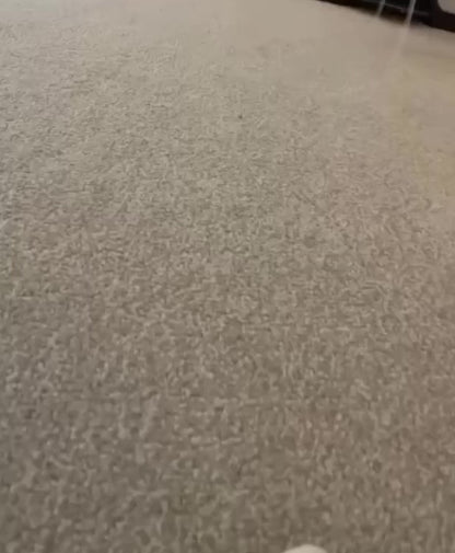Wireless Pet Collar Camera