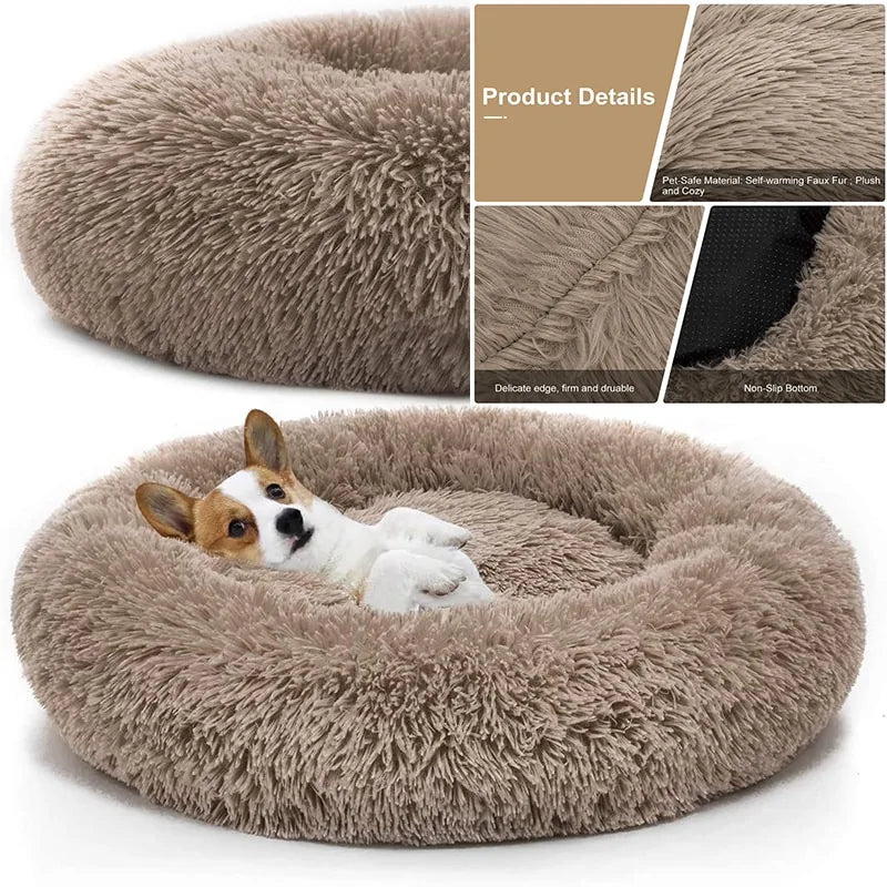 Comfy Dog Bed